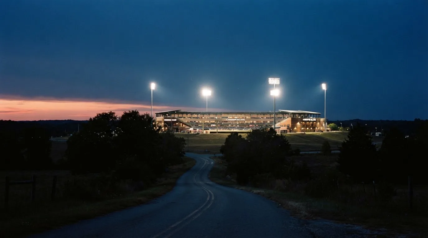 Ein Stadion unter Flutlicht aus großer Entfernung gesehen, davor eine dunkle Landstraße und einzelne Bäume in der Dämmerung.